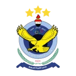 القوة الجوية